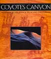 Coyote's Canyon