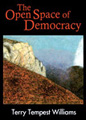 The Open Space of Democracy